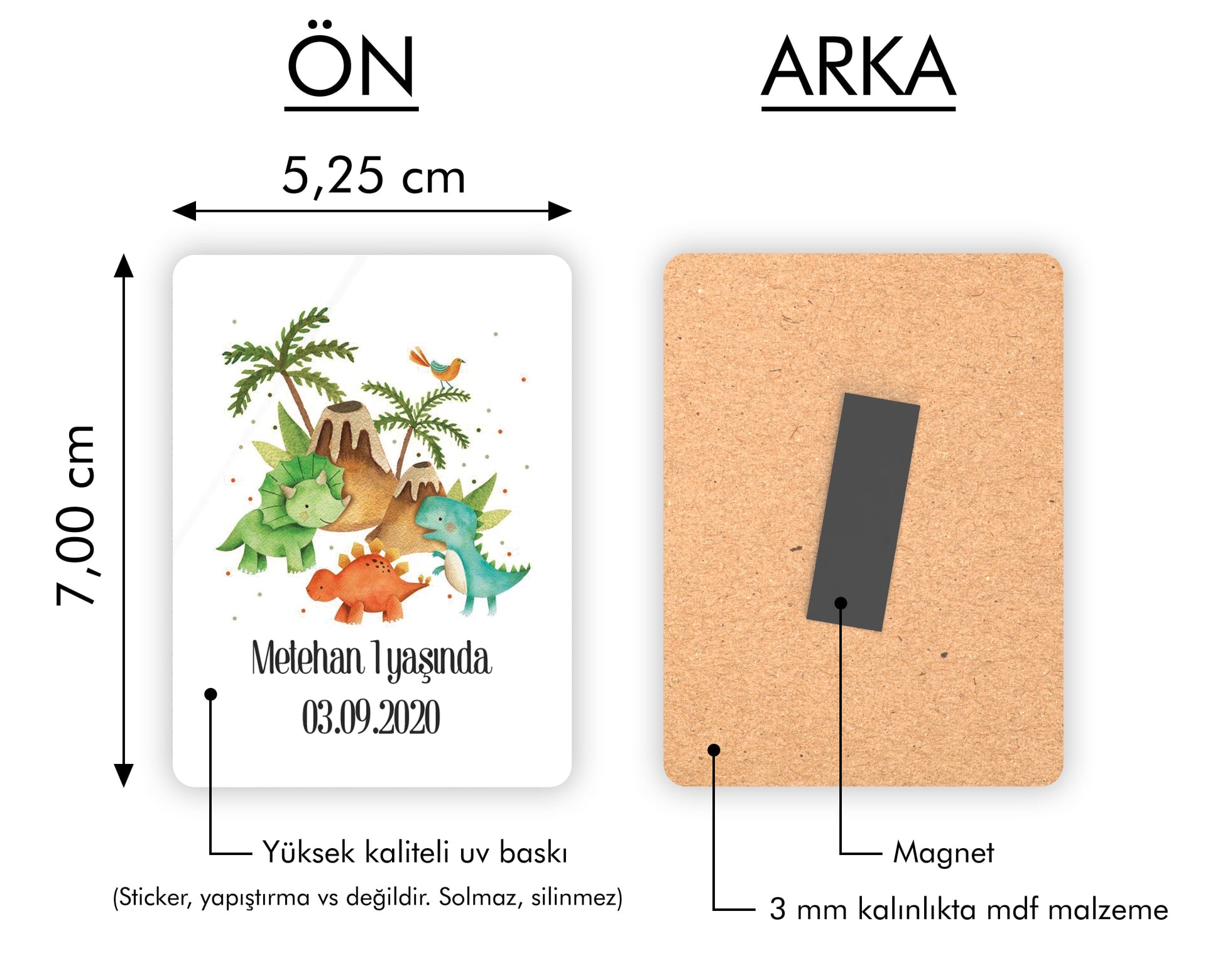 Küçük Renkli Dinozorlar Temalı Ahşap Magnet