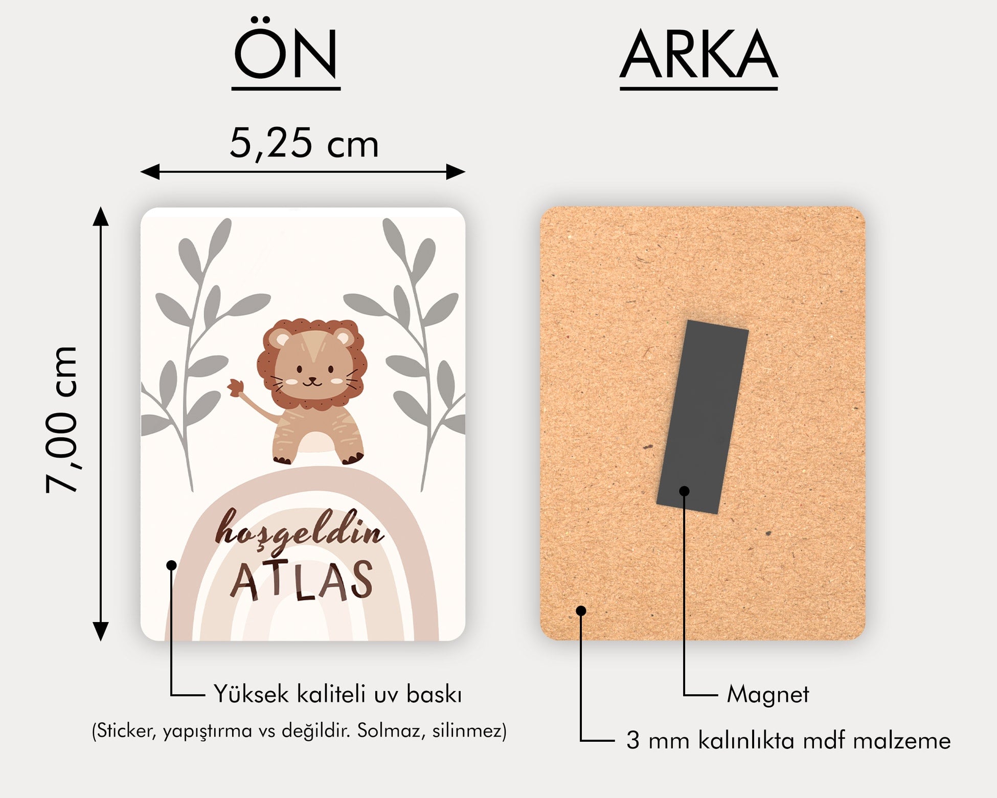 Gökkuşağı Ve Ayıcık Temalı Ahşap Magnet