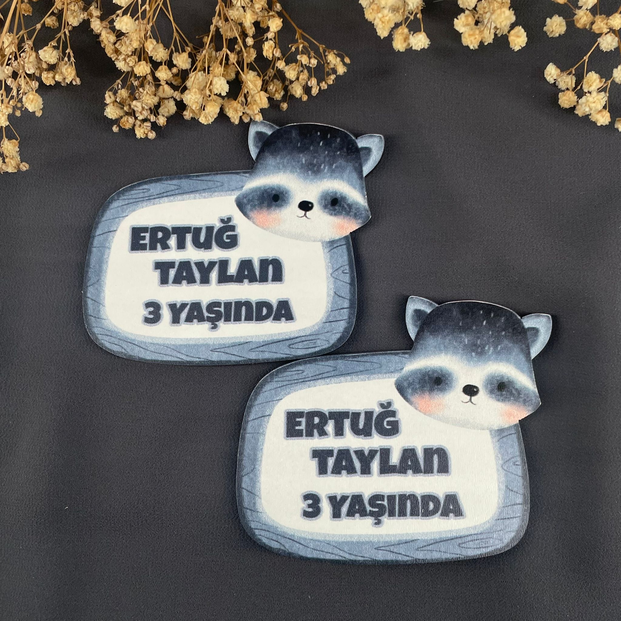 RakunTemalı Özel Kesim Ahşap Magnet