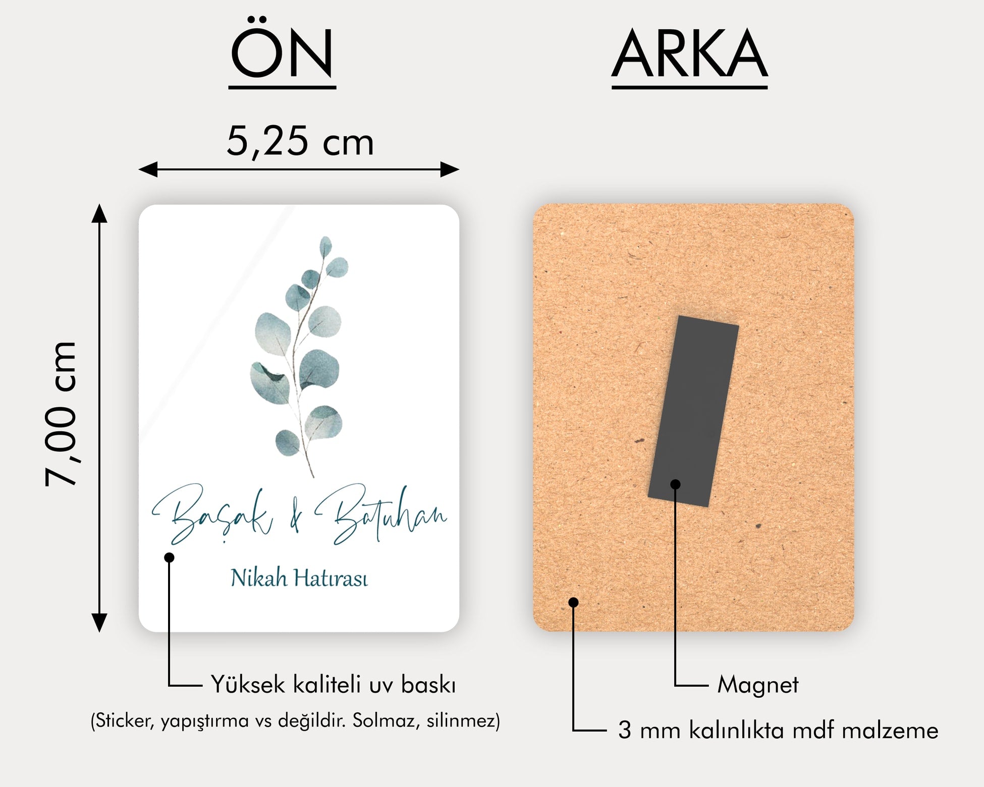 Okaliptus Dalı Desenli Ahşap Magnet
